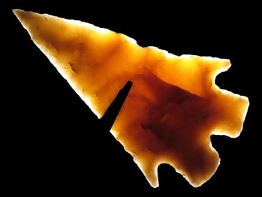 3 1/8" Incredible Bucktooth Montell, Williamson Co. Texas, Cracker Thin and Highly Translucent