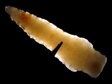 3 13/16" Hixton Scottsbluff, Grant Co Wisconsin, Motley COA, Amazing Example with great patina,