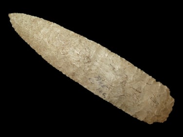 World Class 8 7/8" Scottsbluff, Pike County Illinois, Dickey/Motley/Stermer COA's, Very thin and