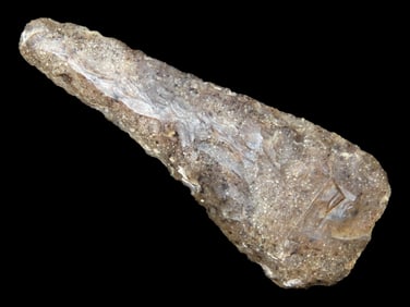 Outstanding Translucent 3 3/4" Agate Knife found in Wyoming, Motley COA, Incredible material, thin