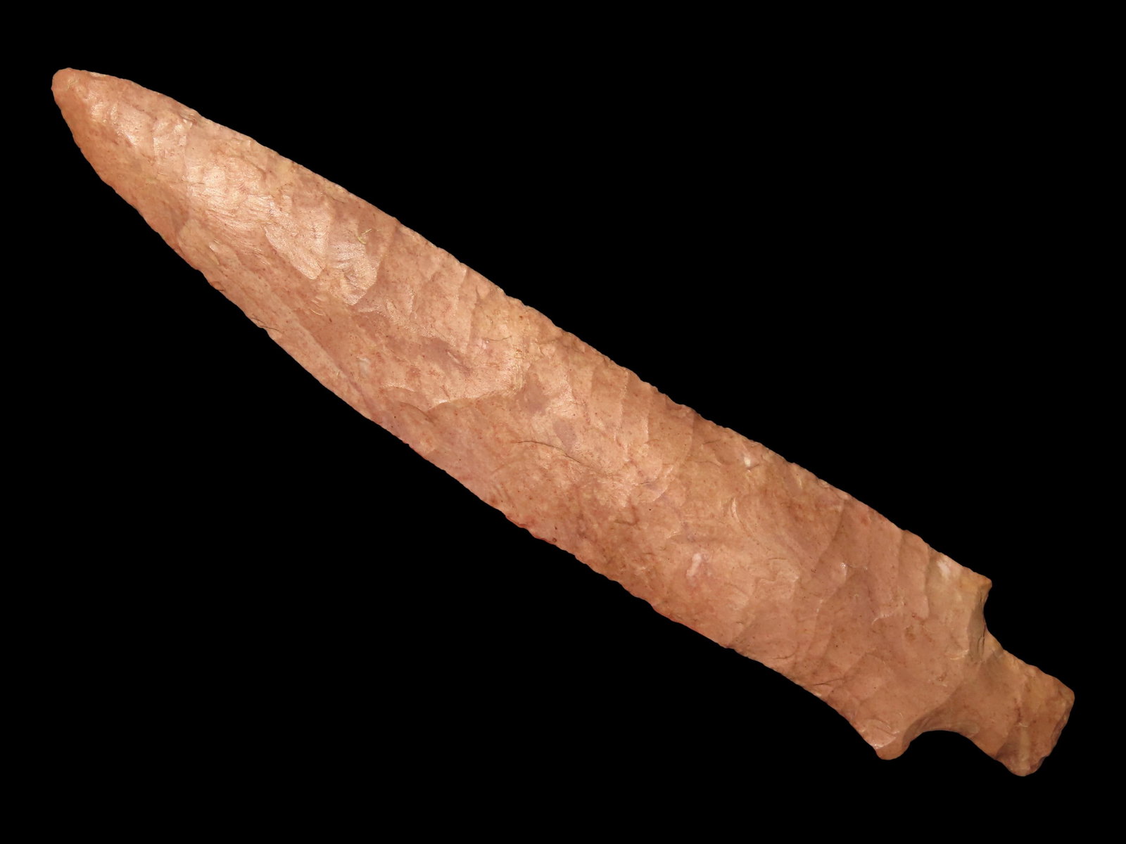 Huge 7 1/4" Little Bear Creek, Tennessee, Motley COA. Ex Doug Pucket Collection, Nice Large Example (1 of 10)