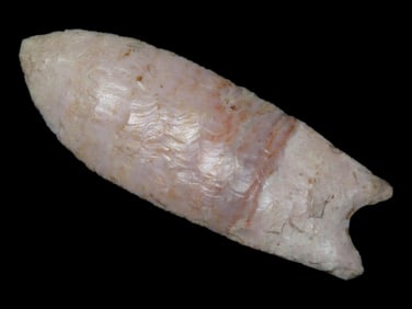 Spectacular 3 7/8" Upper Valley Dalton / Clovis, Dickey & Motley COA, Henderson County Illinois,