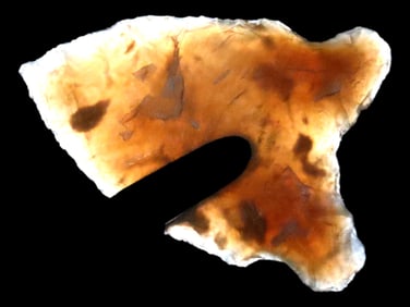 Phenomenal Knife River Flint Oxbow, Grant County North Dakota, 1 7/16" long, expertly Flaked and