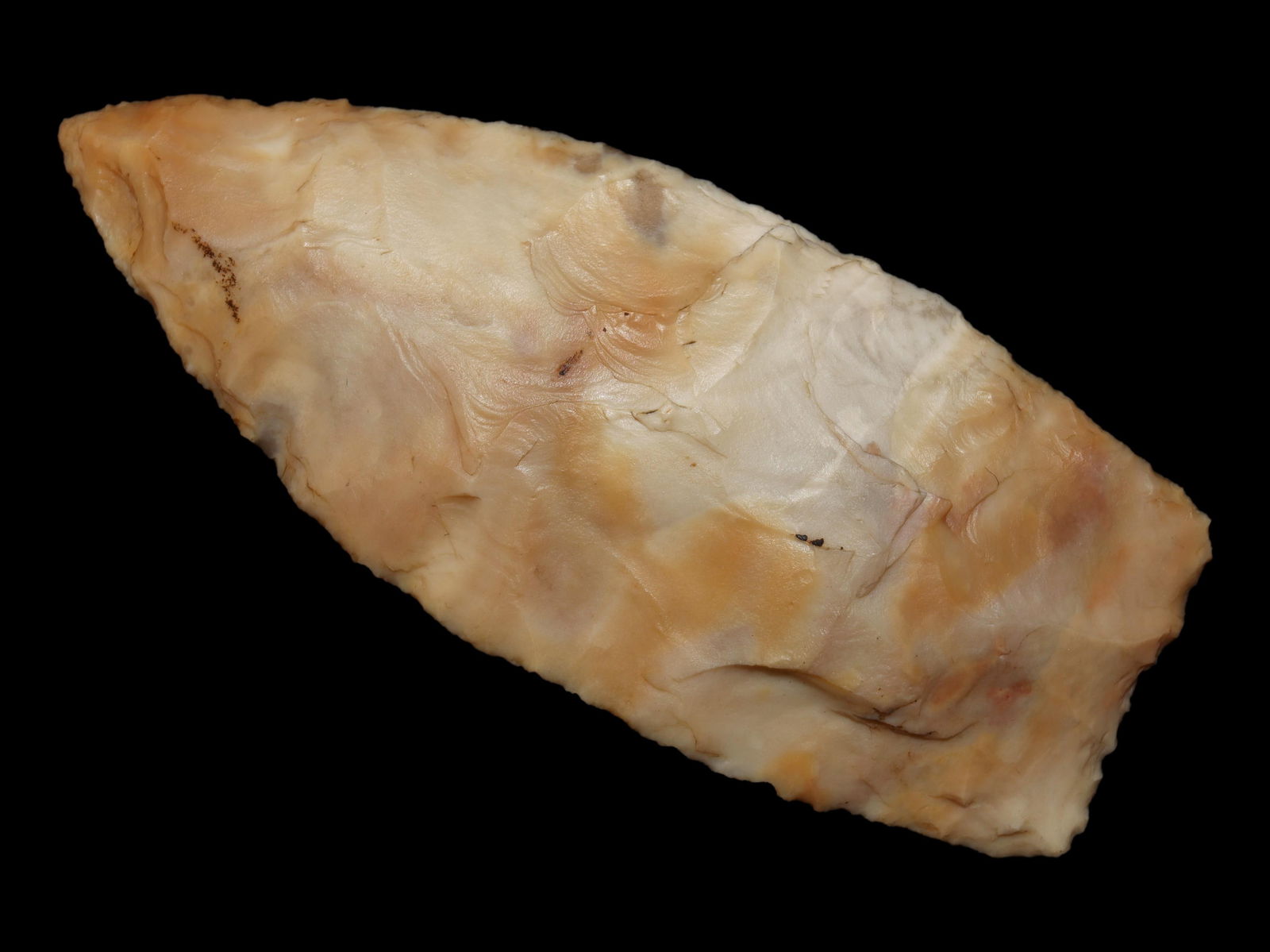 Colorful 3 1/4" Angostura, Adams County Illinois, Motley COA, Very thin and well flaked example with (1 of 7)