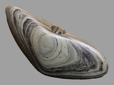 Fantastic Winged bannerstone, Jefferson County Illinois, Motley COA, found by Henry Willmore,