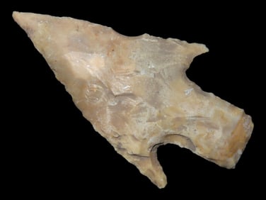 2 15/16" Bulverde, Bell County Texas, Motely COA, Needle Tip with Great Barbs, Well Patinated piece