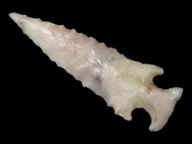 World Class Scallorn Cahokia Bird Point, Madison County Illinois, 1 9/16", One of the Finest