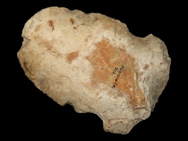 5 7/8" Notched Hoe, Madison County Illinois, Nice example, Flint Spade, Digging Tool, Cahokia Area