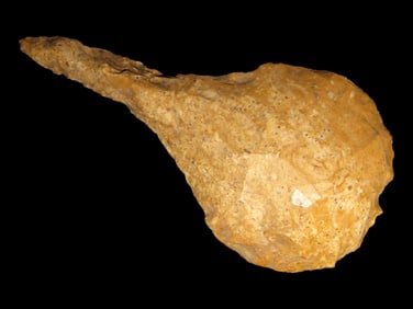 3 1/4" Paddle Drill, Missouri, Bowling Green Brown Chert, Nice Example