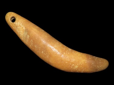 Nice Large Anciently Drilled Bear Tooth Pendant, Alaska, Nearly 3" long, Alaskan Eskimo Pendant /