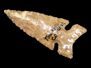 Amazing 1 3/4" Mallory, Tooele County Utah, Nice Classic Example, thin & Very well flaked with no