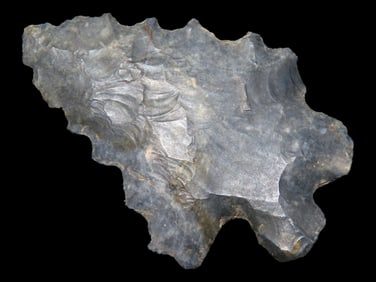 2 1/4" Serrated MacCorkle, Logan County Ohio, Nice Classic Example, Thin and well flaked, Nice piece