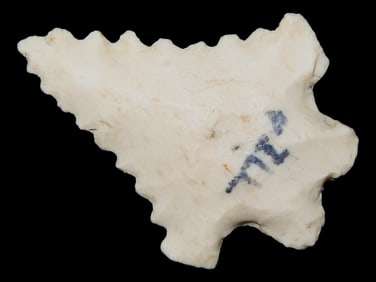 Amazing 1 5/16" Fox Valley, Illinois, Nice Classic Heavily Serrated Example, Indian Arrowhead,