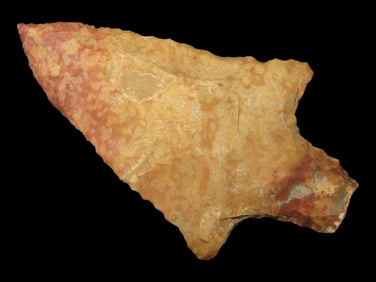 Amazing 2 1/2" Smithsonia / Pickwick found in Henry County Tennessee. Expertly Flaked example with