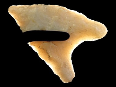 Outstanding 1 3/4" paleo Quad, Craighead County Arkansas, Translucent Novaculite, Very well made