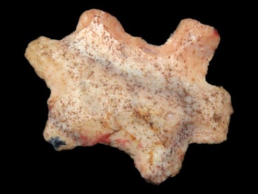 Unique Animal Effigy Flint Eccentric, Southern Missouri, Colorful Example, 1 1/4" long, great Patina