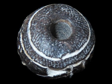 Amazing Bird Effigy Bead, Pre-Columbian, Very Intricate Bird Engraved on Both Sides, Great Detailed