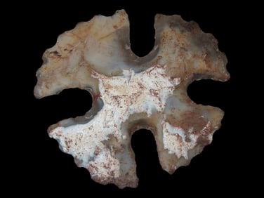 Amazing Mayan Flint Eccentric, Highly Translucent Example. Pre-Columbian Effigy. Belize. Very