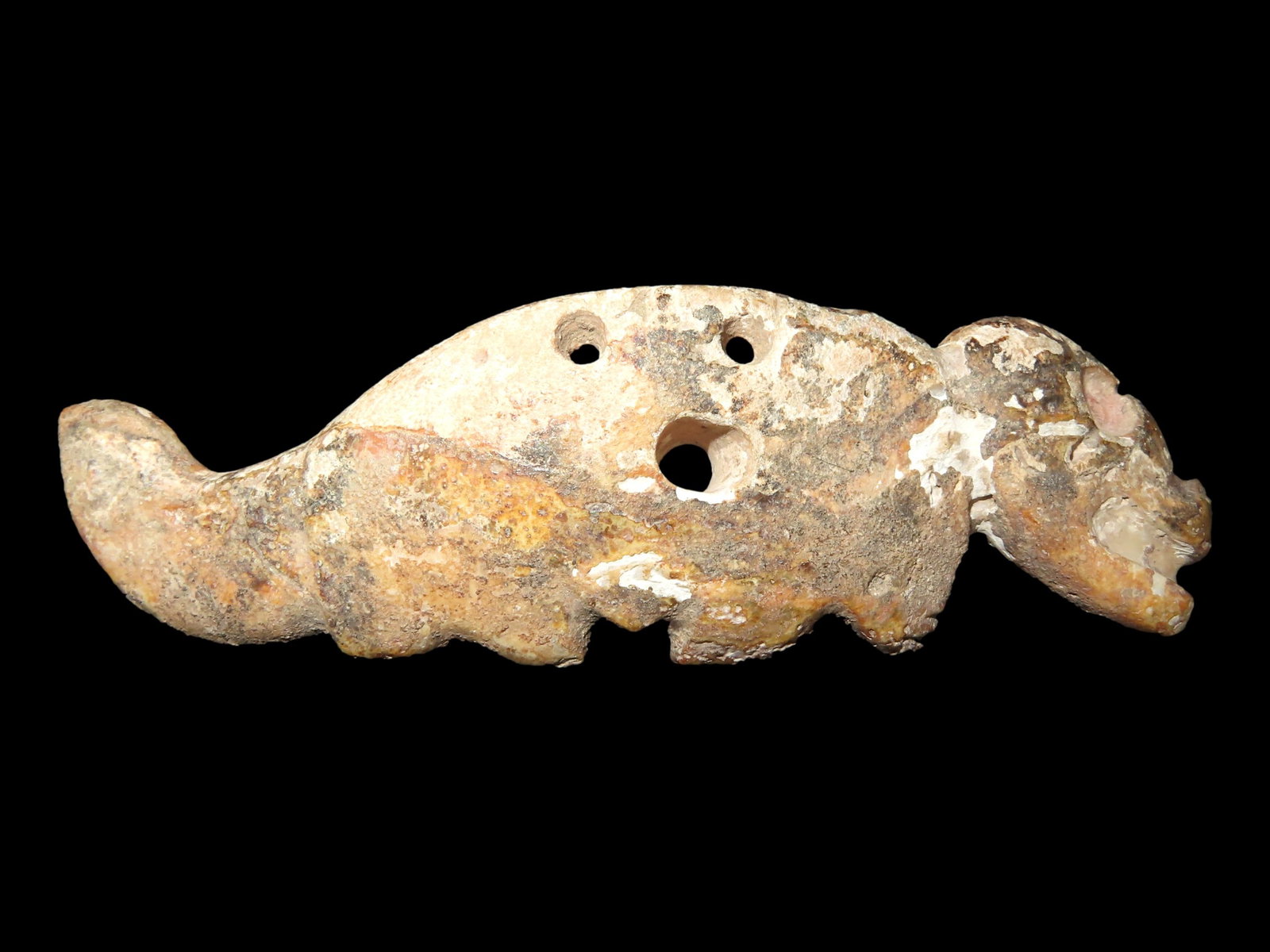 Incredible Jaguar Effigy Shell Pendant, Mexico. Motley COA. 4 3/16" Long. Drilled Eye & Mouth may (1 of 10)