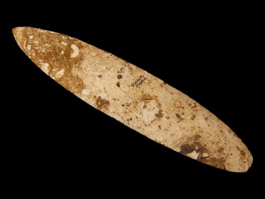 Huge 9" Mayan Blade, Puebla, Mexico. Large Colorful Example, very thin and well flaked. Nicely