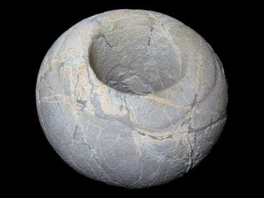 Incredible Translucent Alabaster Mace Head. Motley COA, Costa Rica. Measures 3" wide by 2" tall.