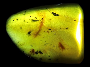 Fossil Amber with Encased Insect, Nice Large Specimen with A Bug, some Hair or Fur, and other Small