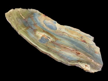 Rare Green & Blue Petrified Wood Slab, 8 3/8" long, Oregon Bogwood, Vibrant Greens & Blues mixed