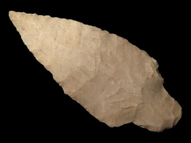 Nice Woodland Adena, Tennessee. 2 7/16" long. Very Thin & Well Flaked Example. Indian Arrowhead,
