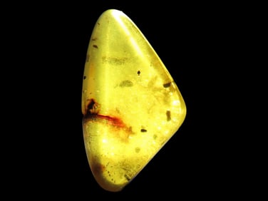 Fossil Amber with Encased Insect, Nice Larger Specimen with Easily Visible Bug. 100 Million Years