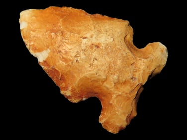 Nice Bolen Bevel, Southern Georgia, Heavily Water Stained Coastal Plains Chert, Nice Classic