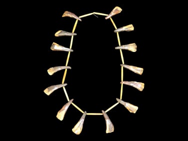 24" Buffalo Tooth & Bone Bead Necklace, Historic Plains Indian Beaded jewelry