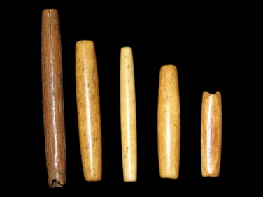 Lot of 5 Historic Hair Pipe Bone Beads, South Dakota. Nicely Shaped & Highly Polished