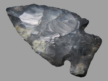 Amazing Jacks Reef, Richland County Ohio. Very thin well flaked example. 1 1/2" Long. Well Patinated