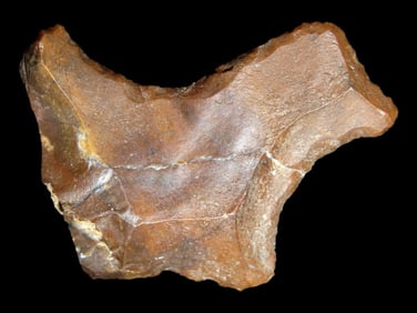 Animal Effigy Eccentric / Scraper. Wyoming. Found Near Big Horn Mountains, Near Kaycee on 8-27-1963.