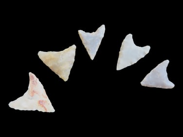 Lot of 5 Choice African Neolithic Triangles, Arrowheads, Sahara Desert, Africa. Bird points, Spear