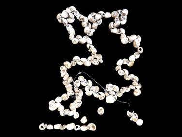 Shell Beads/Strand, Christian Co, Kentucky with Riker frame