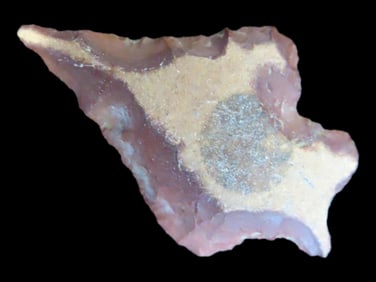 Colorful Bird point found in Lincoln County Colorado, Indian Arrowhead, Artifact