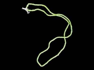 20" Green Glass Trade Seed Bead Necklace
