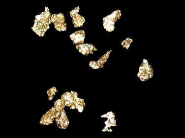 Lot of 13 Natural Gold Nuggets from Alaska. Pure Alaskan Solid Gold, Gold Rush