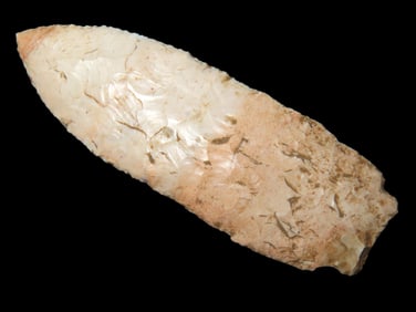 3 1/4" Angostura found by Terry Annin in Jefferson Co., Missouri
