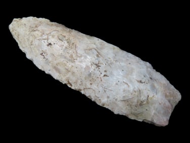 3 3/8'' Angostura found in Harrison Co., Missouri