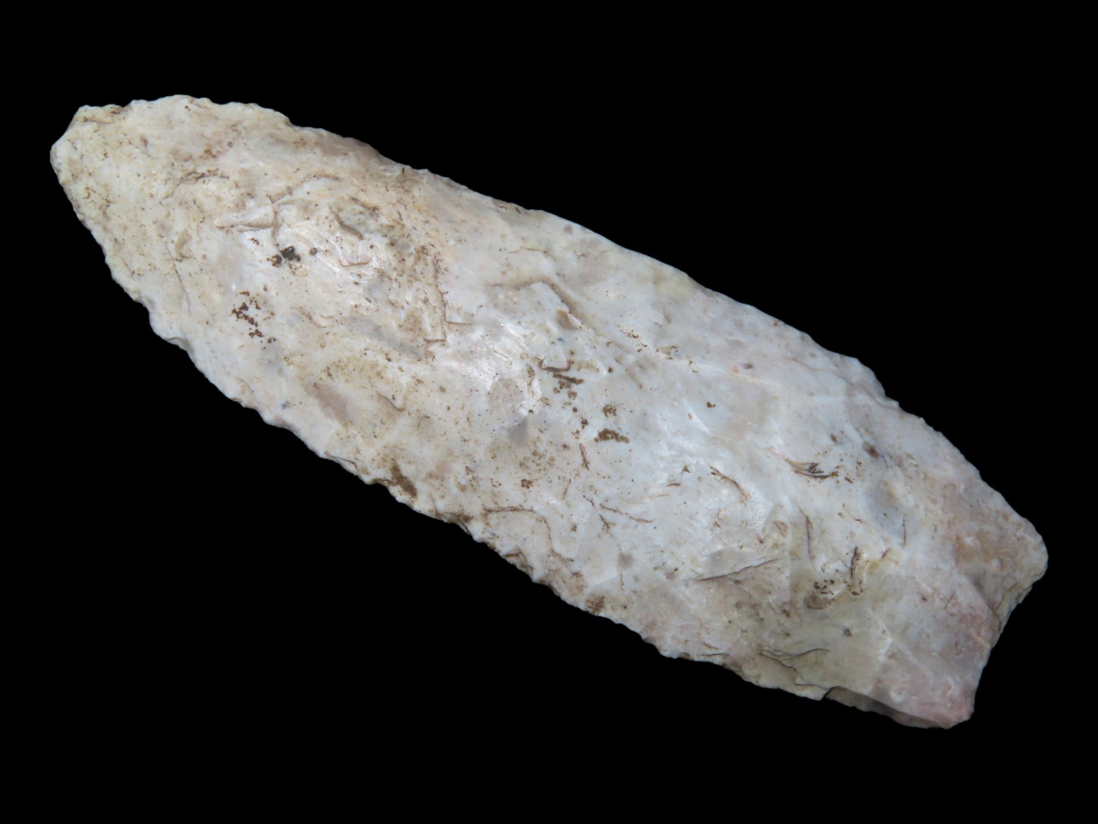 3 3/8'' Angostura found in Harrison Co., Missouri: 3 3/8'' Angostura found in Harrison Co., Missouri
