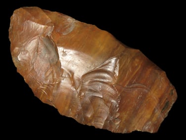 3 3/8'' Petrified Wood Blade found in Arkansas