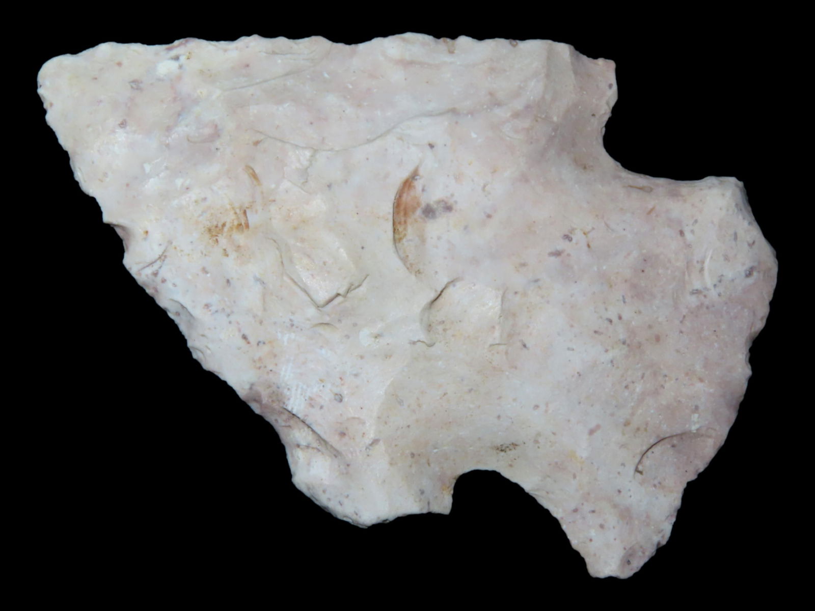 2 5/8'' Snyders found Harrison Co., Missouri (1 of 6)