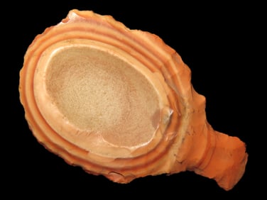 2 1/4" Beautiful Paleo Tang Knife