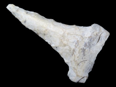2 1/8" Thebes Drill found in Illinois