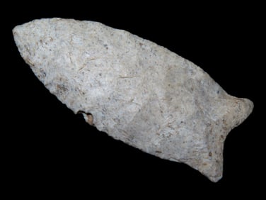 2 9/16" Dalton, Keele COA, found in Harrison Co., Missouri
