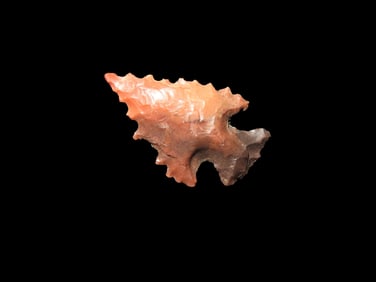 3/4" Bird Point found in Missouri