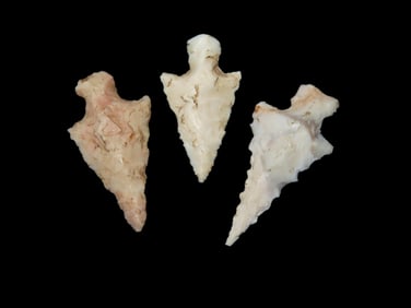 Grouping of 3 Bird Points found in Missouri
