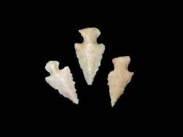 Grouping of 3 Bird Points found in Missouri